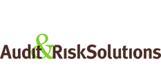 Audit & Risk Solution