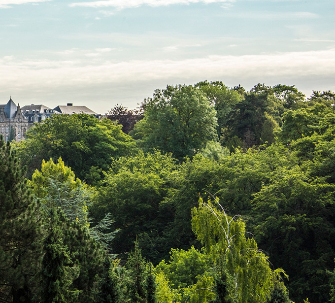 Engagements ESG forêt sur Paris